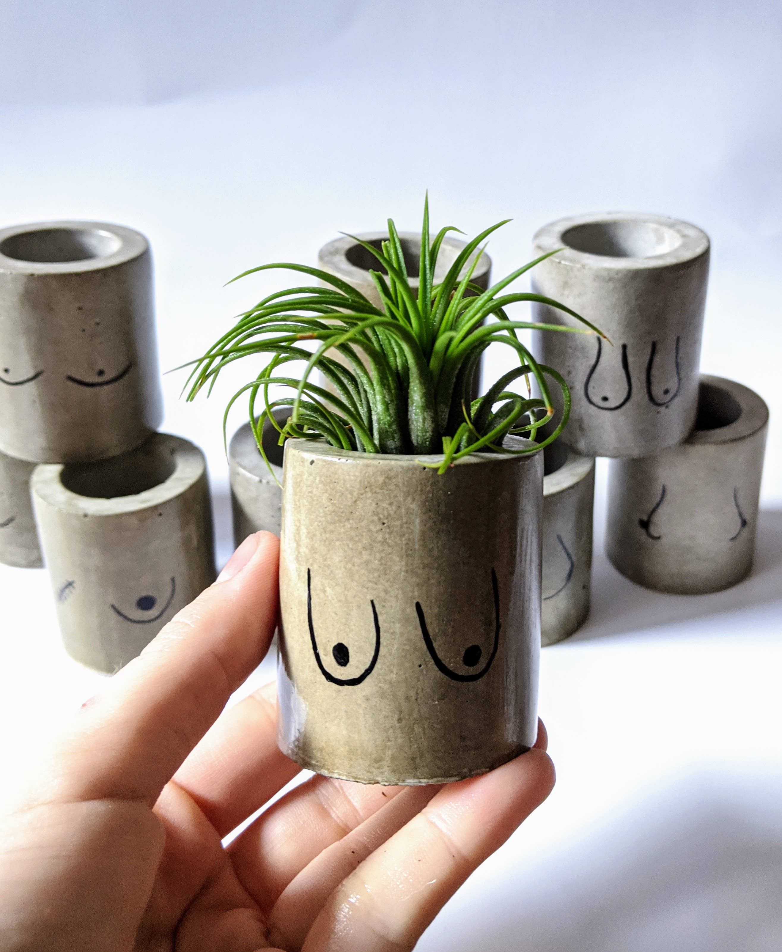 ForgottenProperty – Engroshandel Plantekrukke – Itty Bitty Titty mini beton plantepotte2