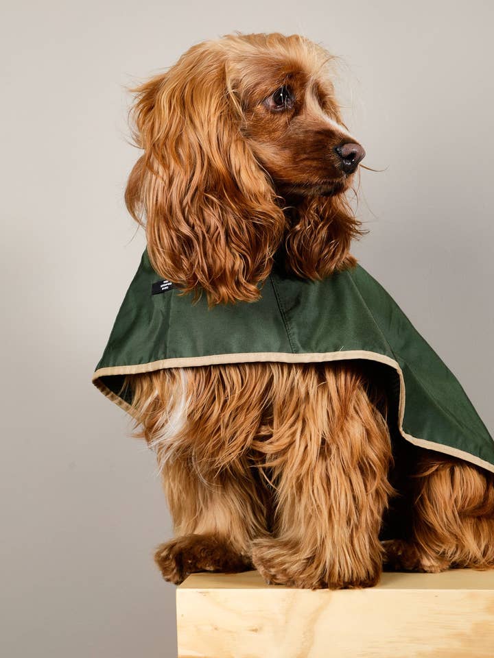 Grön Vattentät Huvkappe Paramount för wholesale av The Striped Dog