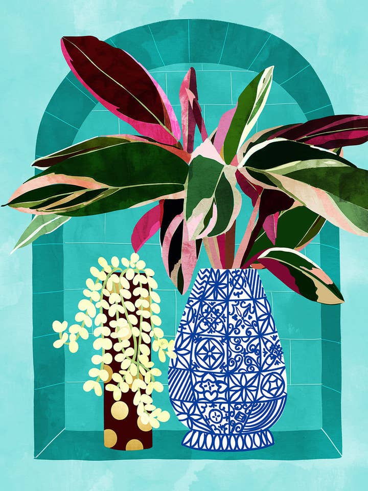 83 Oranges - Planten voor wholesale door BLUE SHAKER