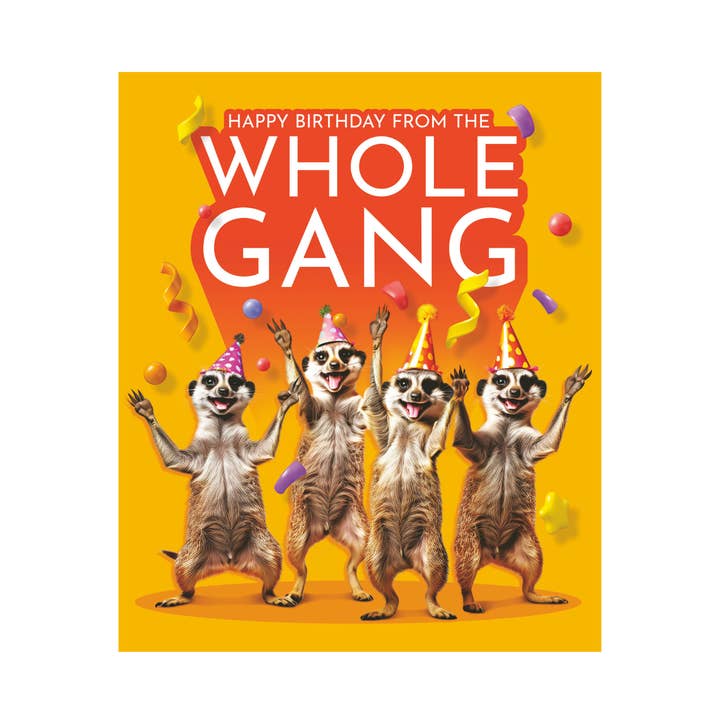 Gekke Critterz Verjaardagskaart, Stokstaartjes met Feesthoedjes voor wholesale door EMOTIONAL RESCUE