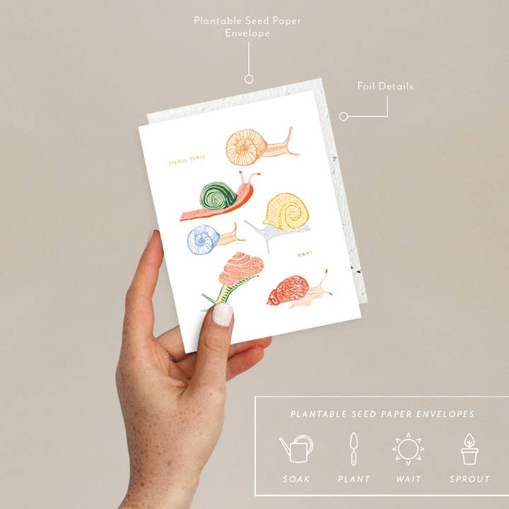 Seedlings - Wholesale Everyday Greeting Card - Snails - Just To Say Hi Card