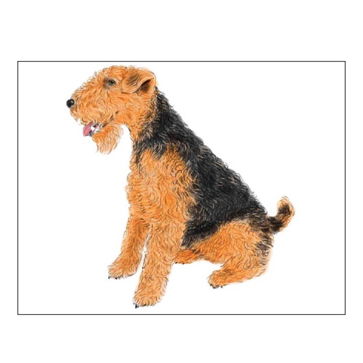 WALISISKE TERRIER FOLDOVER NOTEKORT for engroshandel hos Donovan Designs