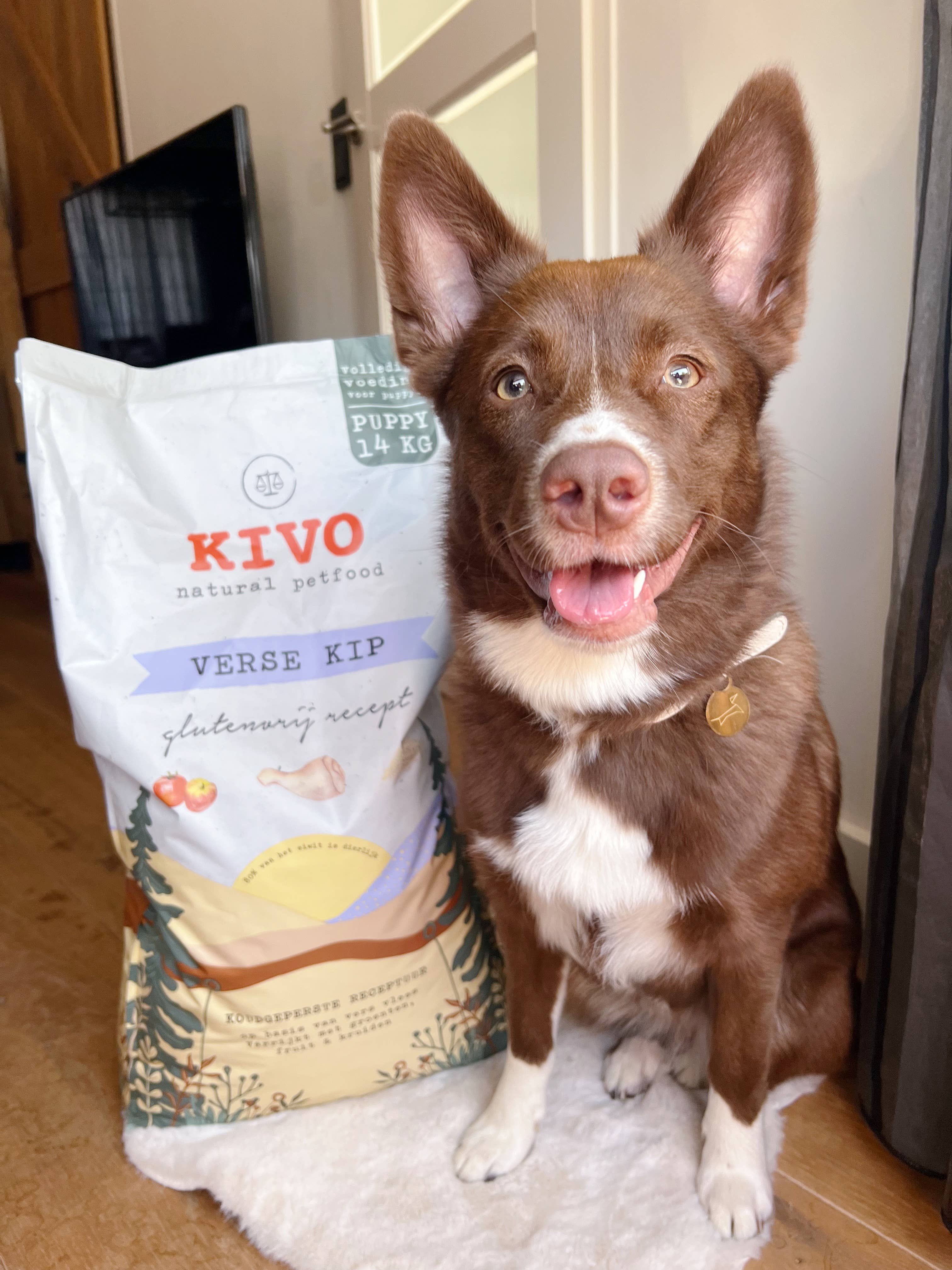 Kivo Petfood - Wholesale Pet Food - Dog - Fresh Chicken Puppy - Cold Pressed - Gluten Free4