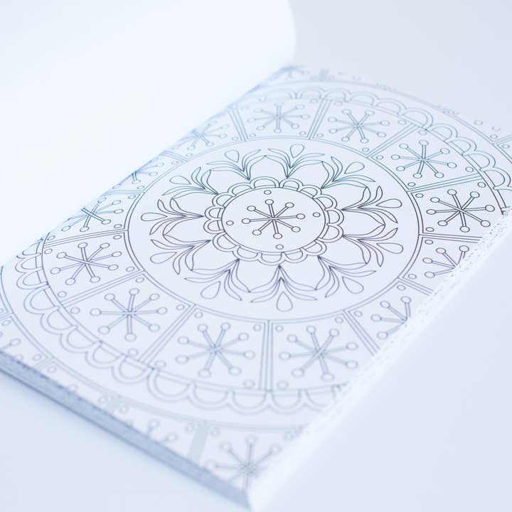 Blue Star Press - Wholesale Coloring Book - Adult - Form: Anatomy Coloring Book (Premium Coloring Book)