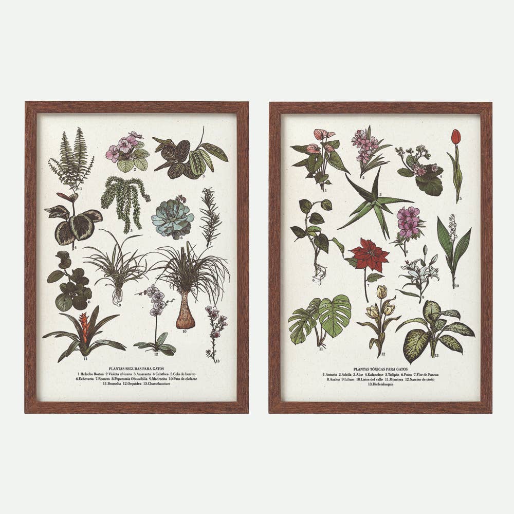 Lalauri - Wholesale Kunstprint - Veilige planten print2