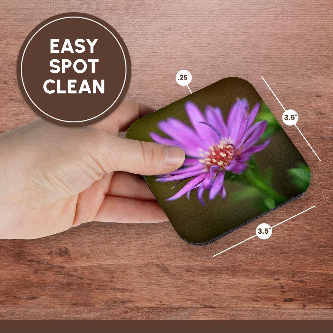 3dRose - Wholesale Coasters - 3dRose, A macro photograph of a single purple aster flower., Coaster13