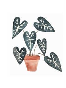 Postcard - Black Plant for wholesale by Wander by Elise