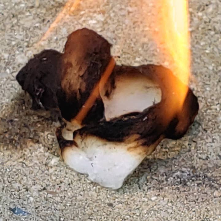 Firestarters à l'huile de coco pour la vente par Graft Outdoors LLC