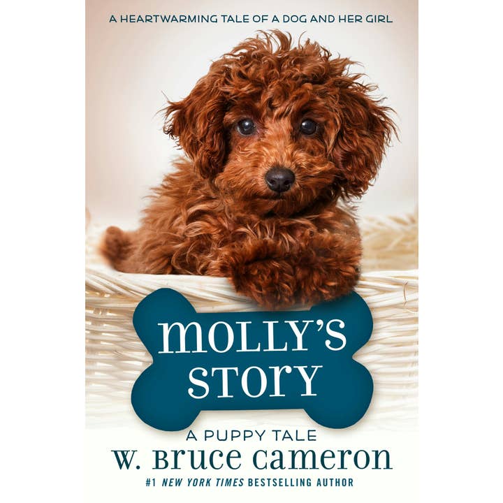 Macmillan Publishers - Wholesale Pets - Molly's Story: Dog's Purpose Novel: A Puppy Tale #1