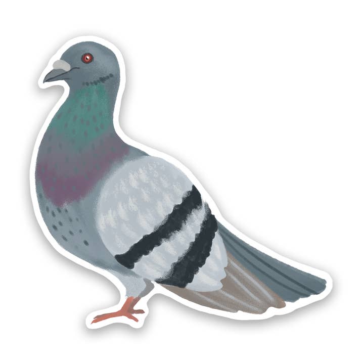 Rock Pigeon Vinyl Sticker for wholesale by Proper Wolf