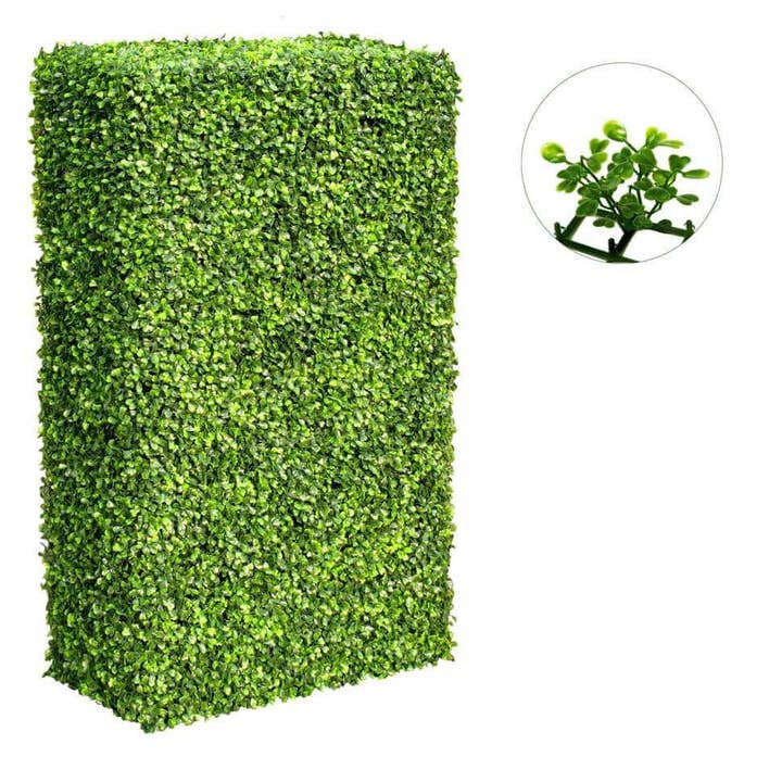 Grande haie de buis mixte portable résistante aux UV 100 cm de long x 200 cm de haut pour la vente par Designer Plants AU
