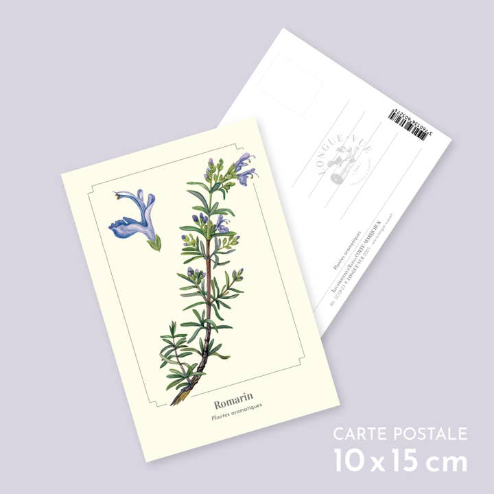 Rosmarin - Vykort för wholesale av Longue-vue