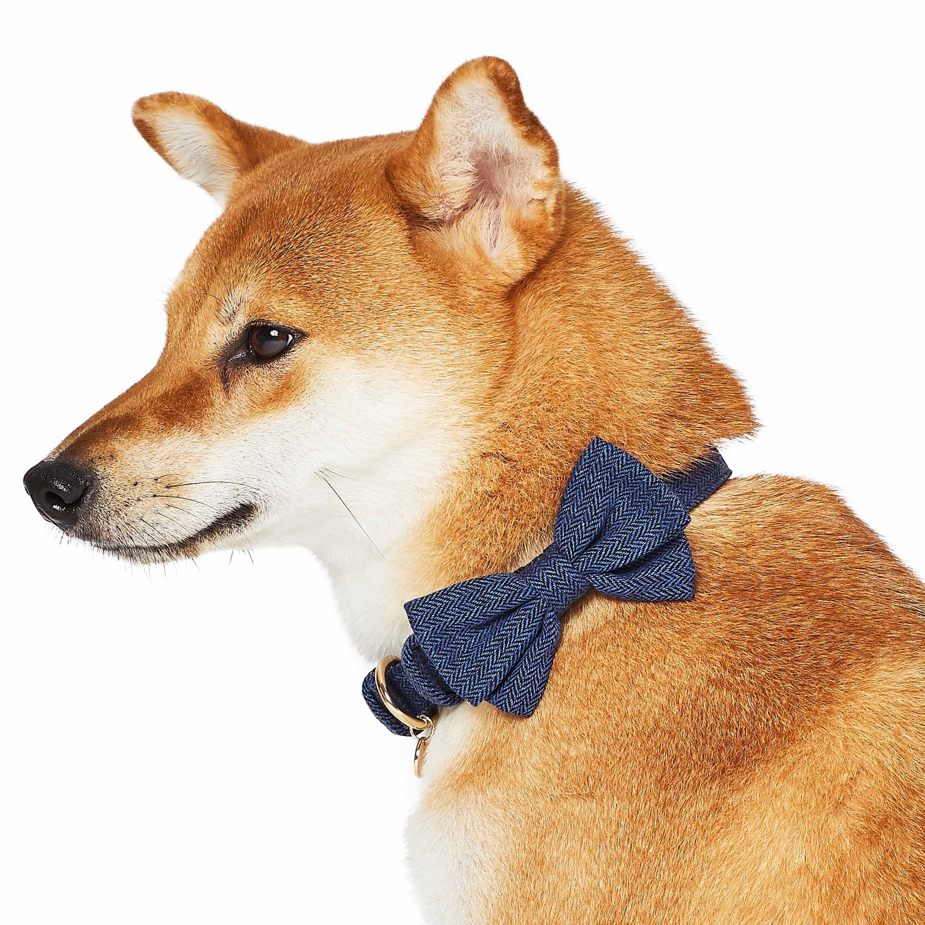 Blueberry Pet - Vendita all'ingrosso Collare - Cani - Collare per cane in tweed testurizzato con papillon staccabile13