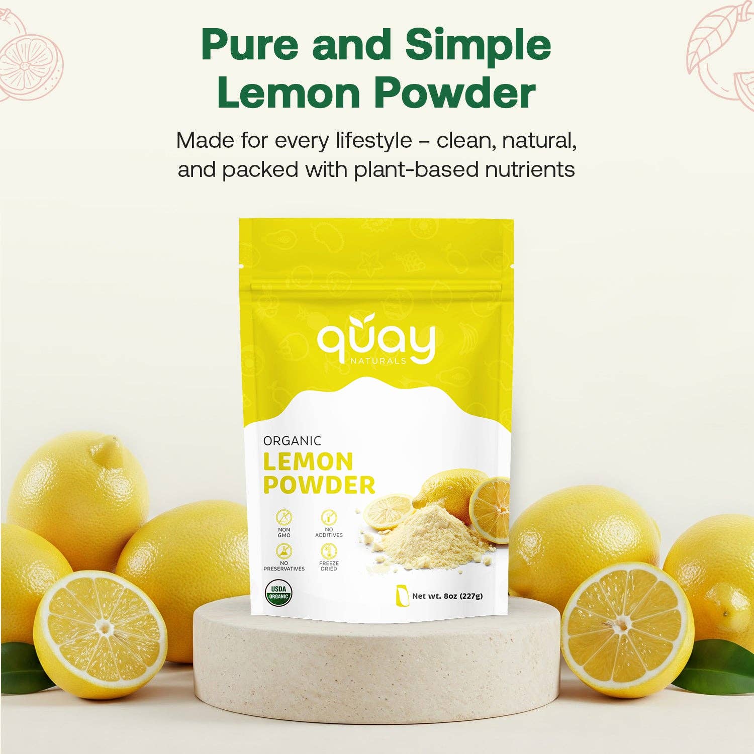Quay Naturals - Wholesale Dried Spice Mix - Organic Lemon Juice Powder5