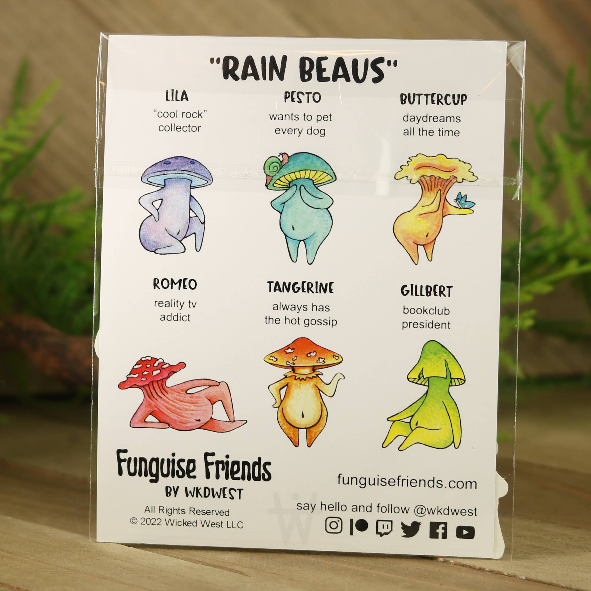 Funguise Friends by WkdWest - Wholesale Sticker - Vinyl Funguise® Sticker PACK - "Rain Beaus"1