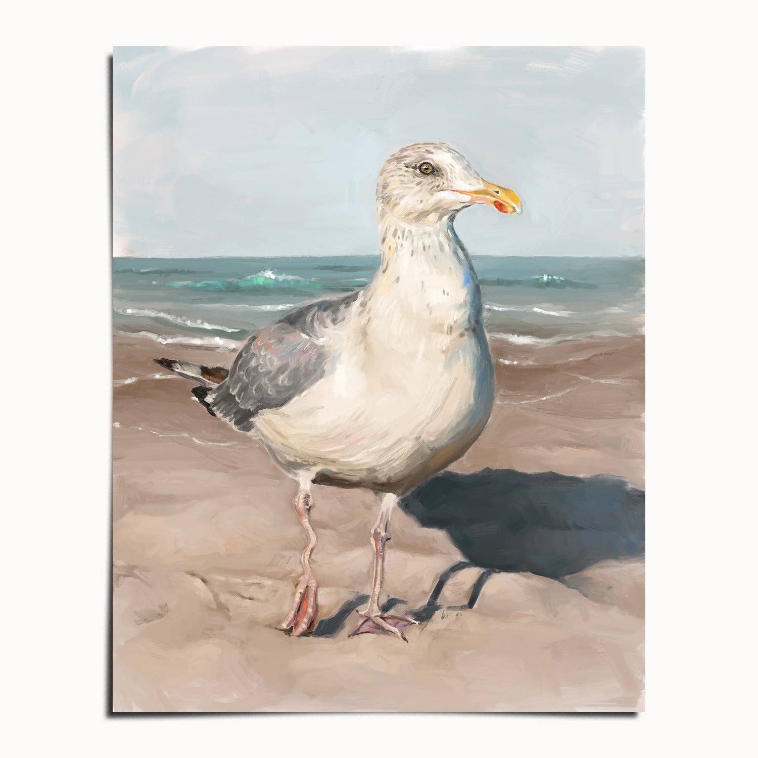 The Ugly Cat Studio - Wholesale Art Print - Seagull with Wobbly Leg Fine Art Print2