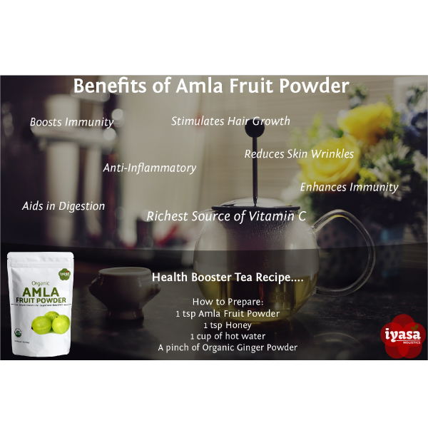 Iyasa Holistics - Wholesale Protein/Superfood Powder - Organic Amla Powder6