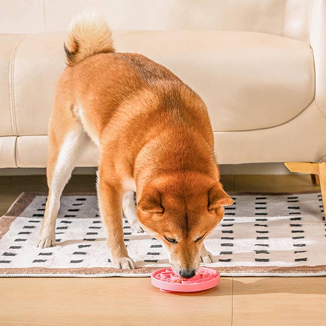 Hugsmart Products Inc - Wholesale Pet Food Mat - Dog - HugSmart Pet - Dog Bowl Pet lick mat | Donut Slow Feeder3