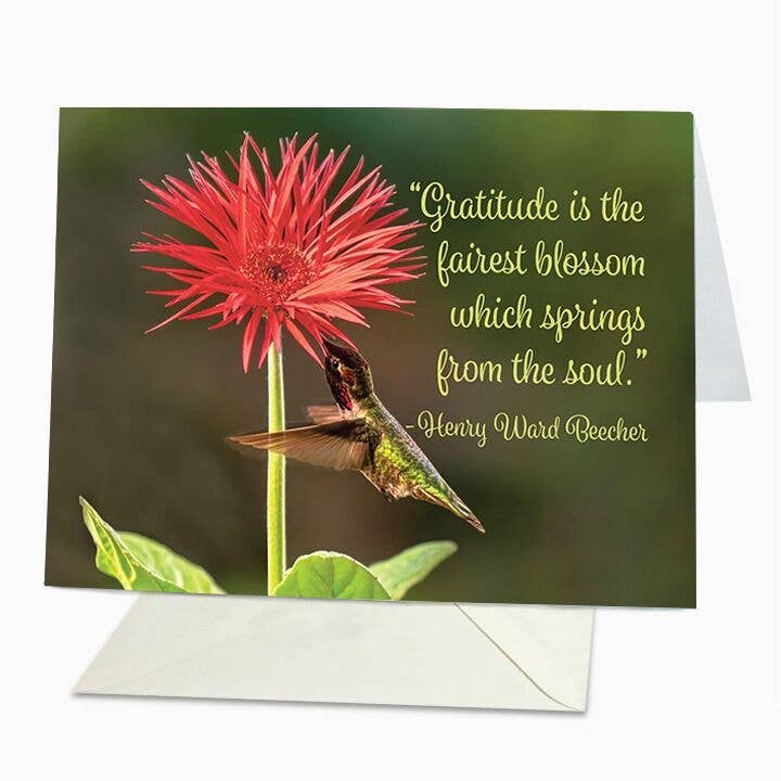 La gratitud es la flor más bella para venta al por mayor de St Thomas Greetings