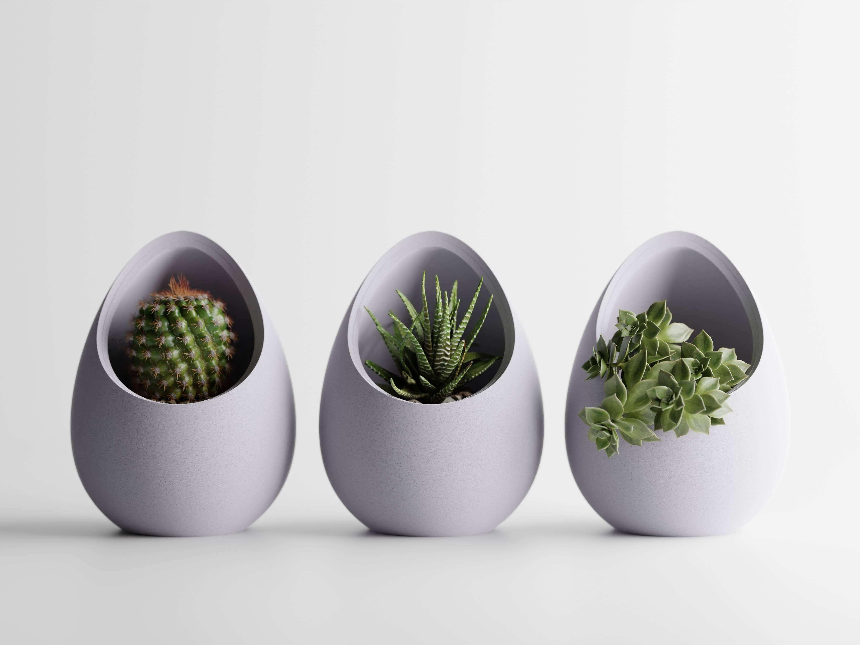 The Butler's Company - Wholesale Plant Pot - Succulent Plant Pot Egg Shape | Elegant Evergreen Container 7