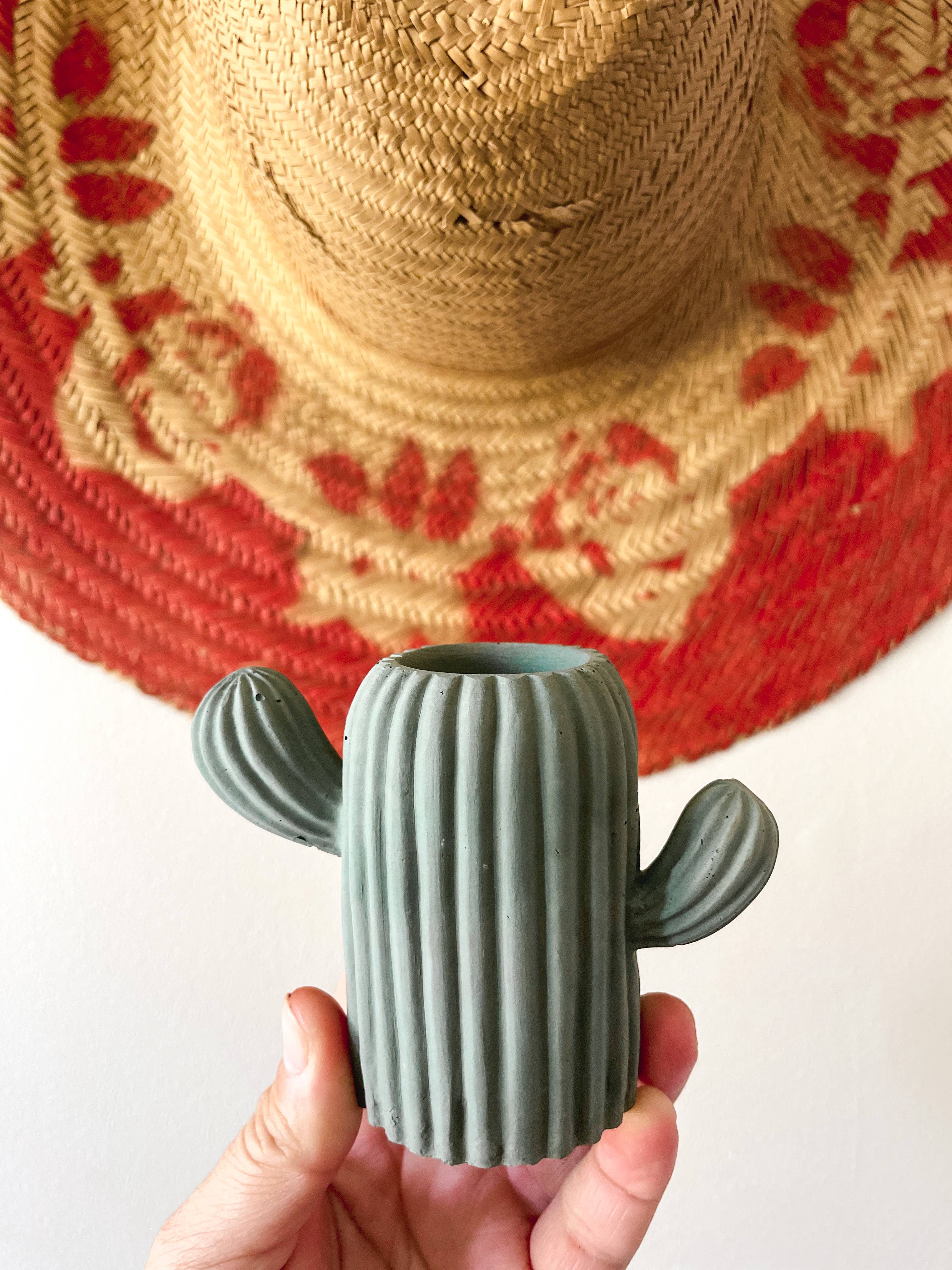 Green Jeans Houseplants - Wholesale Plant Pot - Mini Cactus1