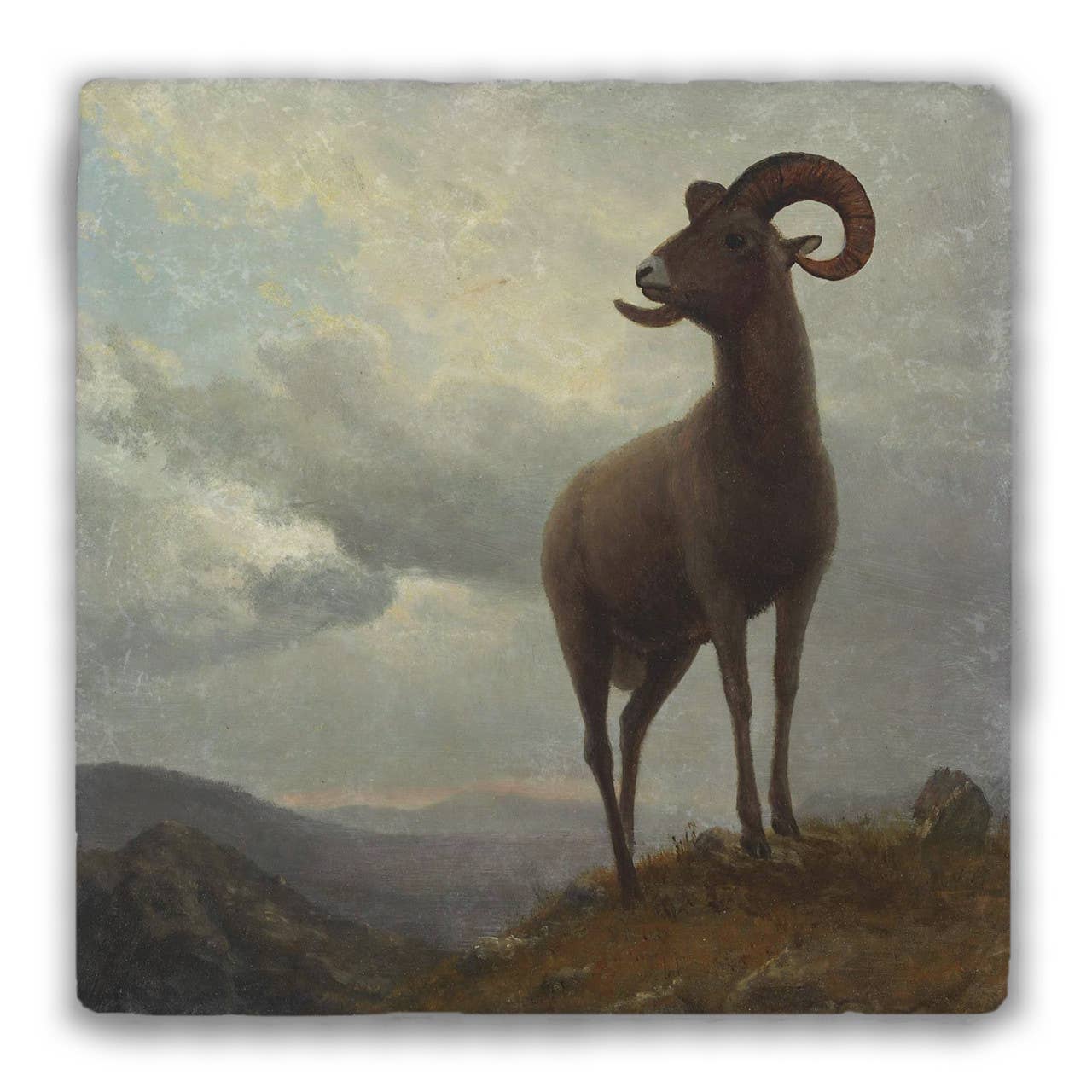 Nelson Gifts Wholesale - Wholesale Coasters - "Long Horned Sheep" Tumbled Stone Coaster0
