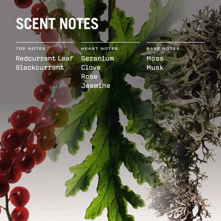 Russell + White – wholesale Jar/filled candle – Red Lake 250g Scented Soy Candle4