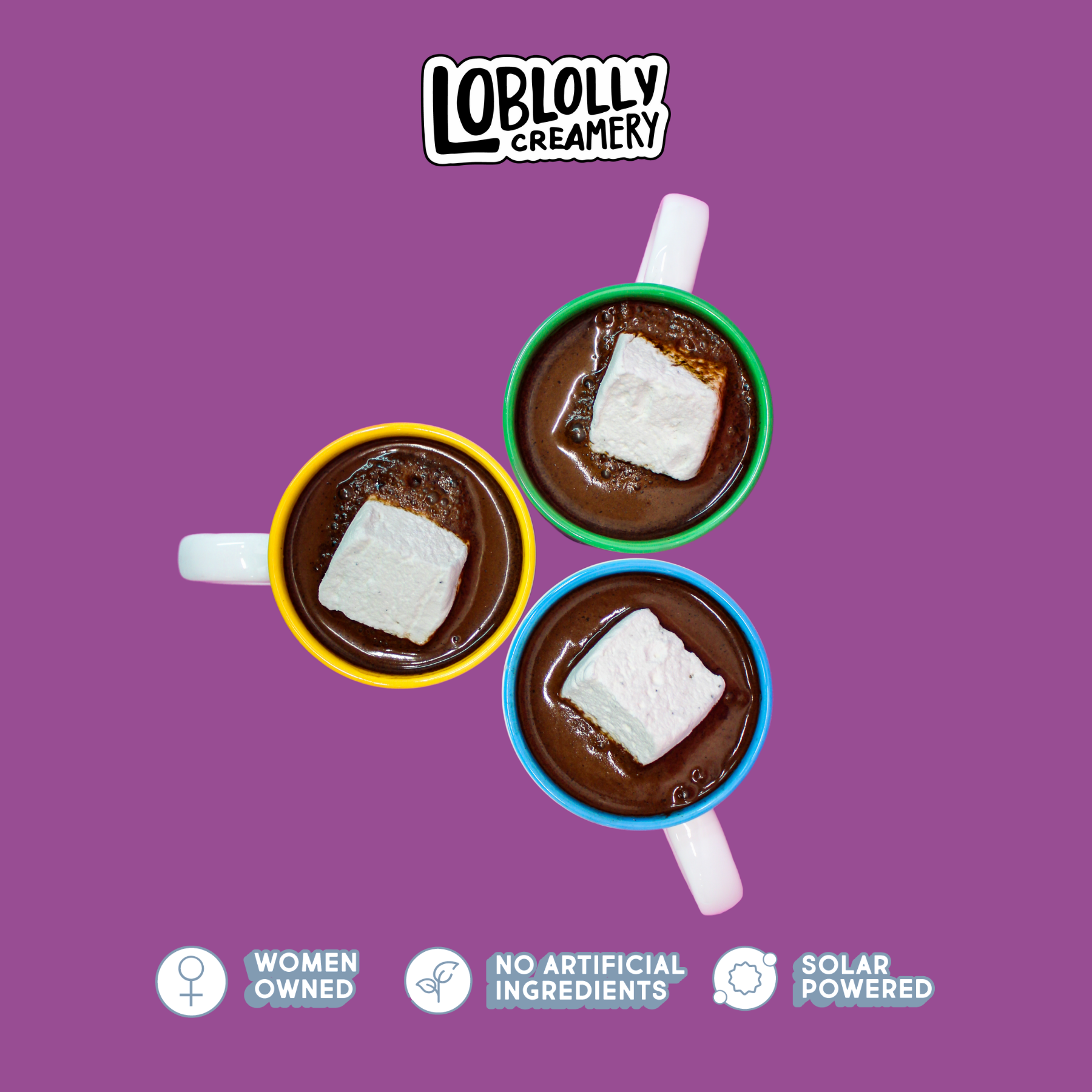 Loblolly Creamery - Wholesale Marshmallow - 40oz Bulk Marshmallows: Vanilla1