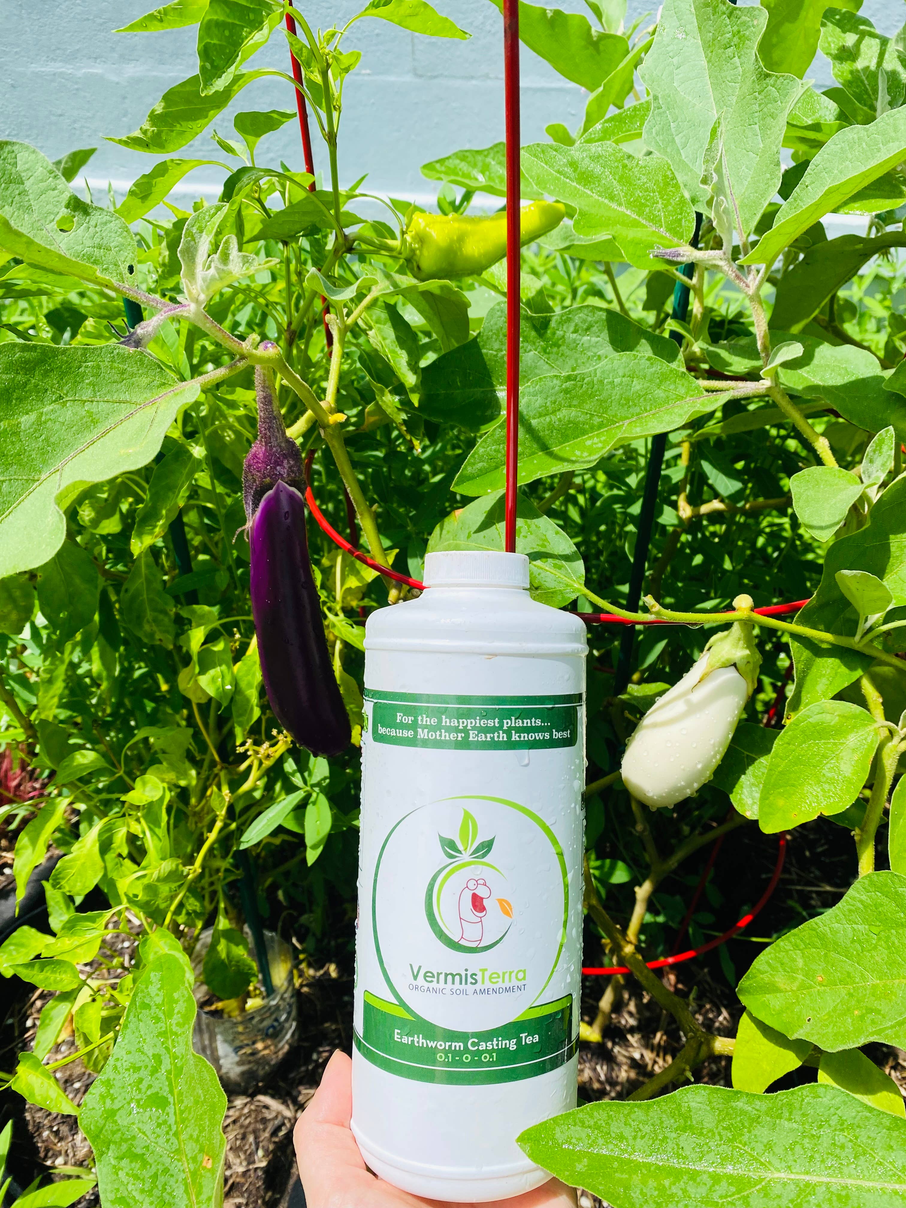 VermisTerra - Wholesale Planting/potting soil - VermisTerra Earthworm Casting Tea - 32 oz4