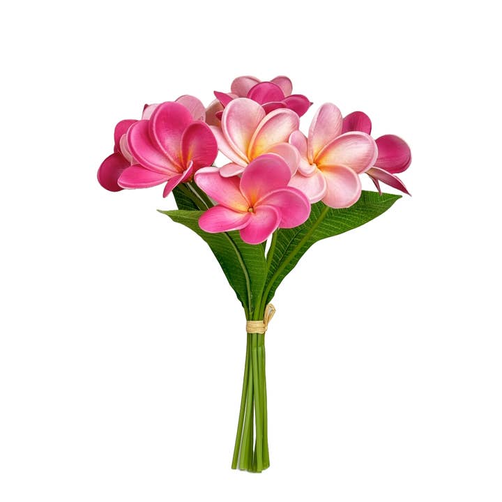 Angel Isabella - Wholesale Artificial Flowers - 10Stems Bundle-Ultra Realistic Tropical Plumeria Frangipani