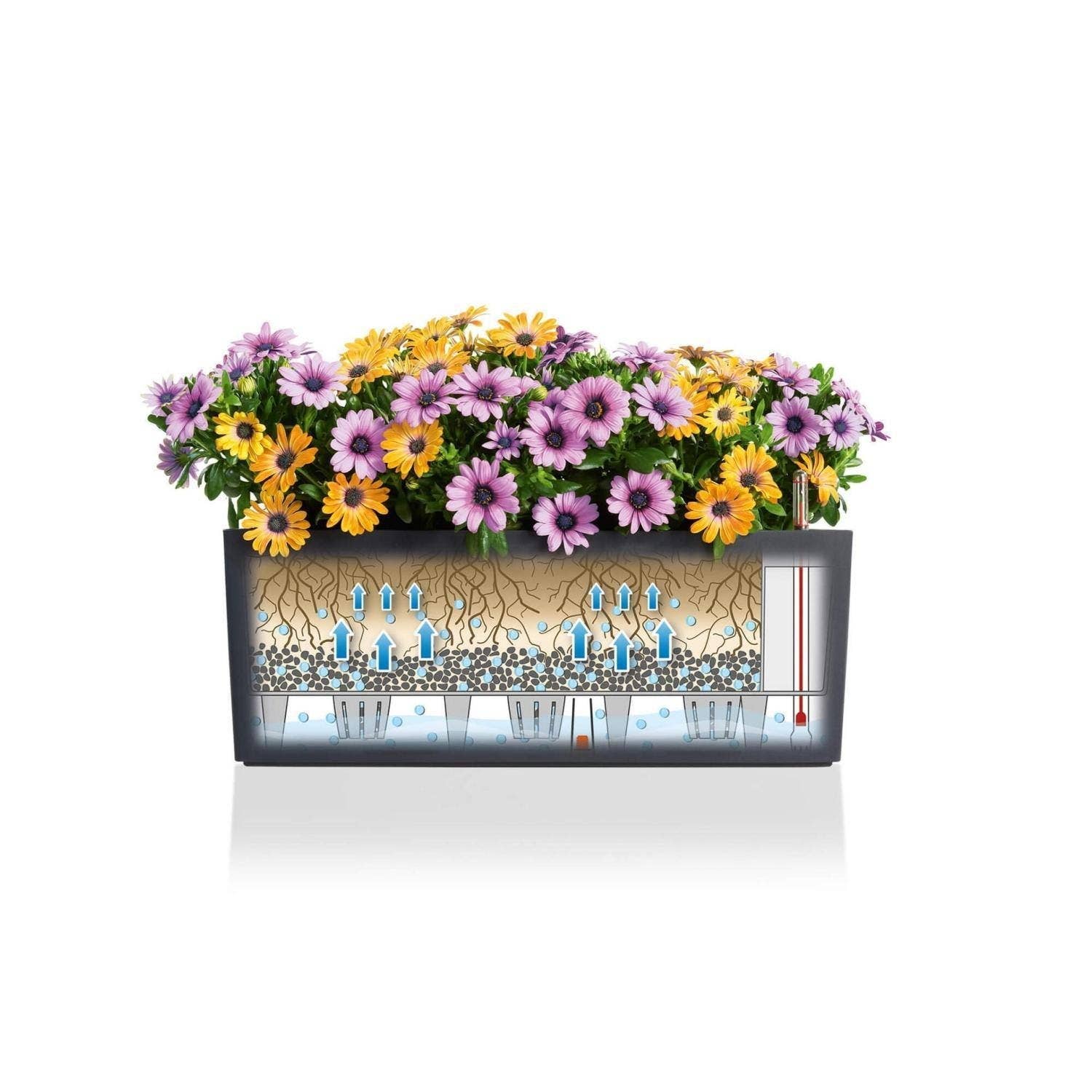 Lechuza Self Watering Planters – wholesale Planter box – LECHUZA BALCONERA Cottage Poly Resin Window Box Planter19