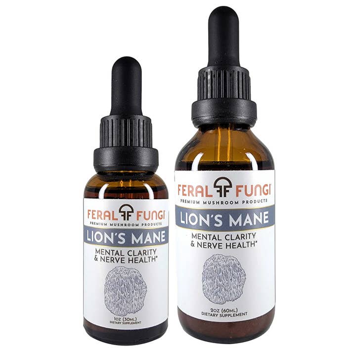 Feral Fungi - Wholesale Tincture - Lion's Mane (Hericium erinaceus) Spagyric Tincture