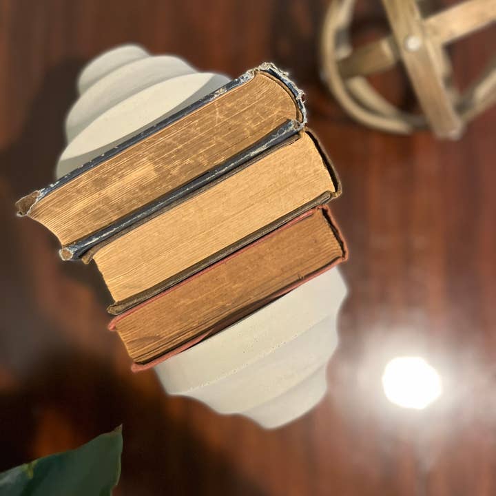 Nora - Vente Serre-livres - Serre-livres en béton arc-en-ciel10