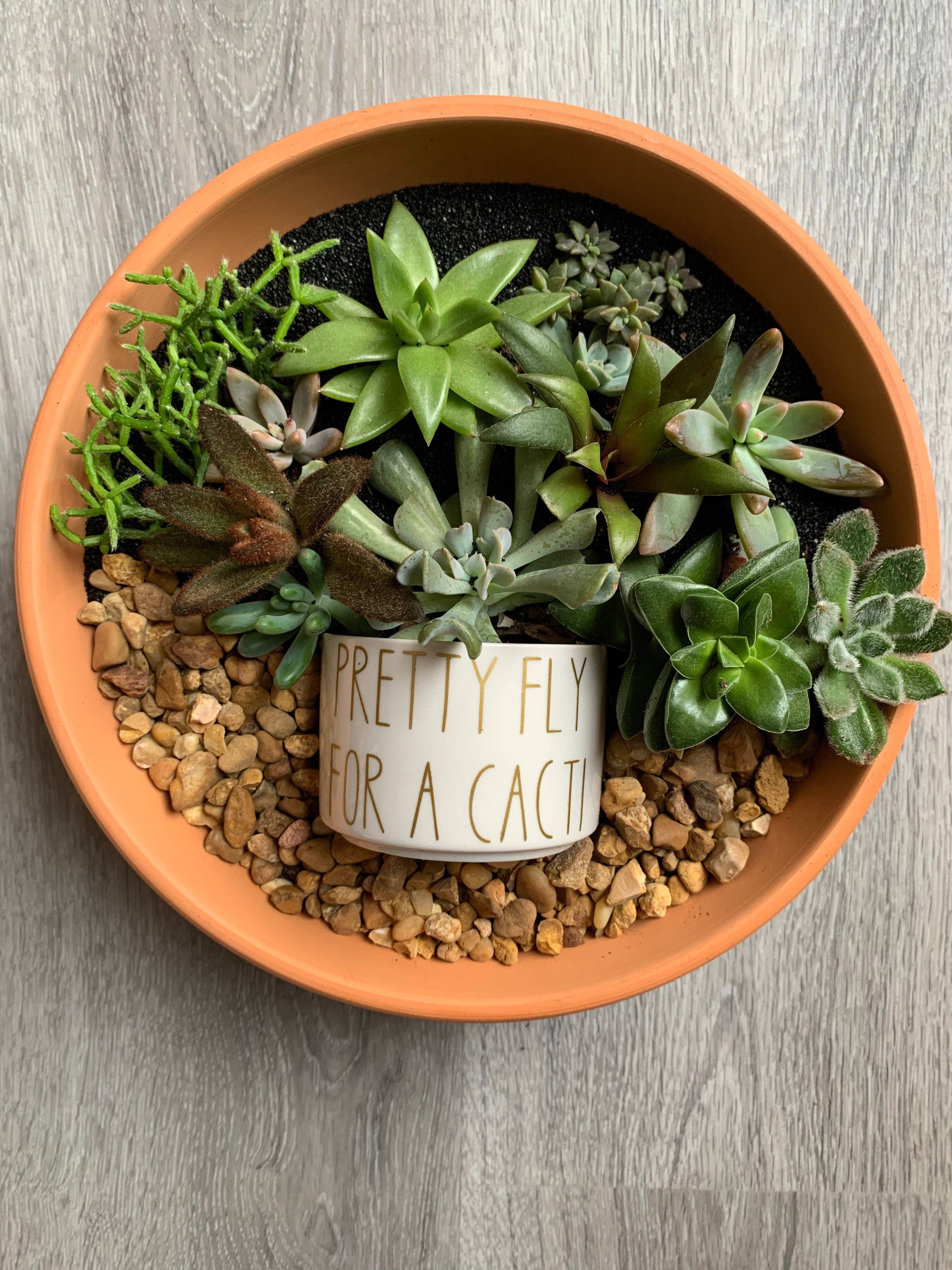 Vulpine Vinyls – Engroshandel Plantekrukke – Brugerdefineret Tekst Succulent Pot5