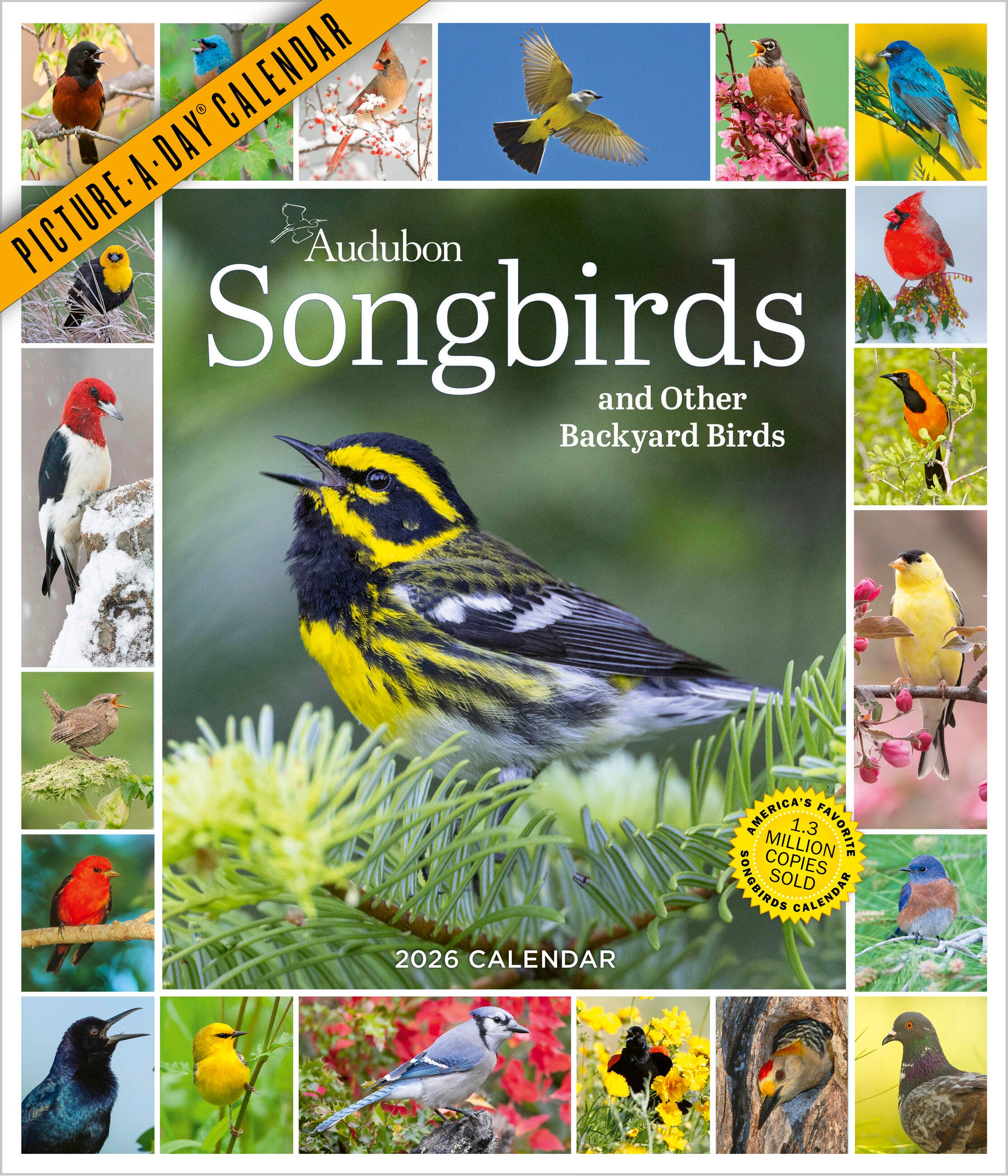 Hachette Book Group - Wholesale Calendar - Audubon Songbirds PAD Wall Calendar 2026