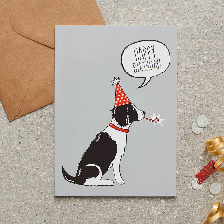 Sweet William Designs - Wholesale Birthday Card - Birthday Card - Springer Spaniel (Black & White)