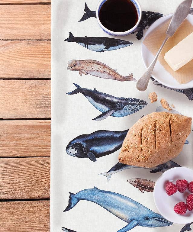 Abbott - Wholesale Tea Towel - Whales Kitchen Towel-20x28"L1