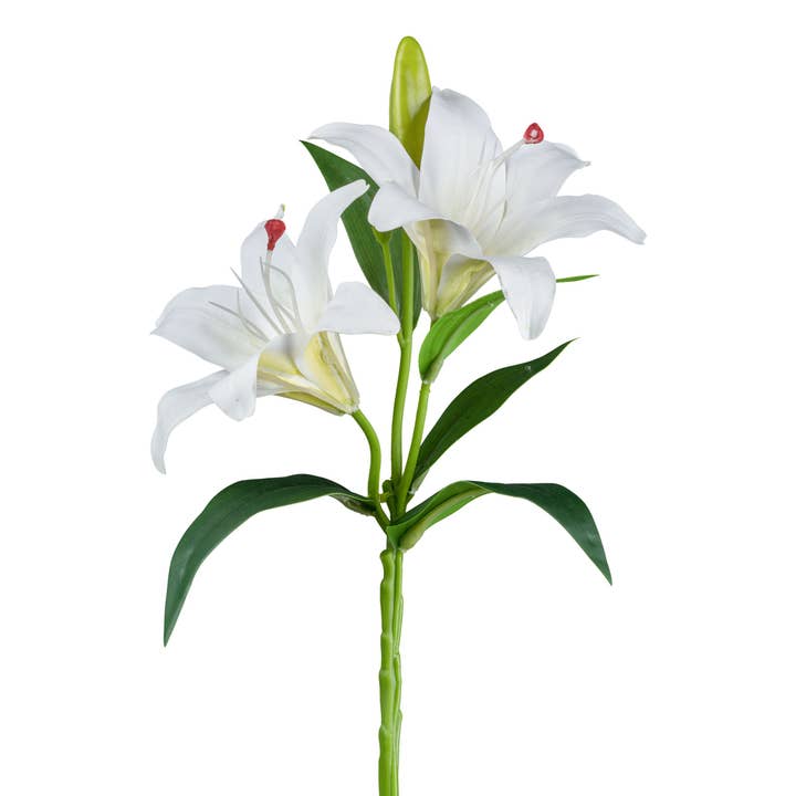 Lily With Buds, 39cm, White for wholesale by GASPER GmbH