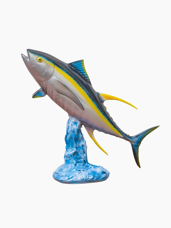 Bureau Trophée Thon Jaune 15,75'' (0,40 m) pour la vente par Bluewave Fish Mounts