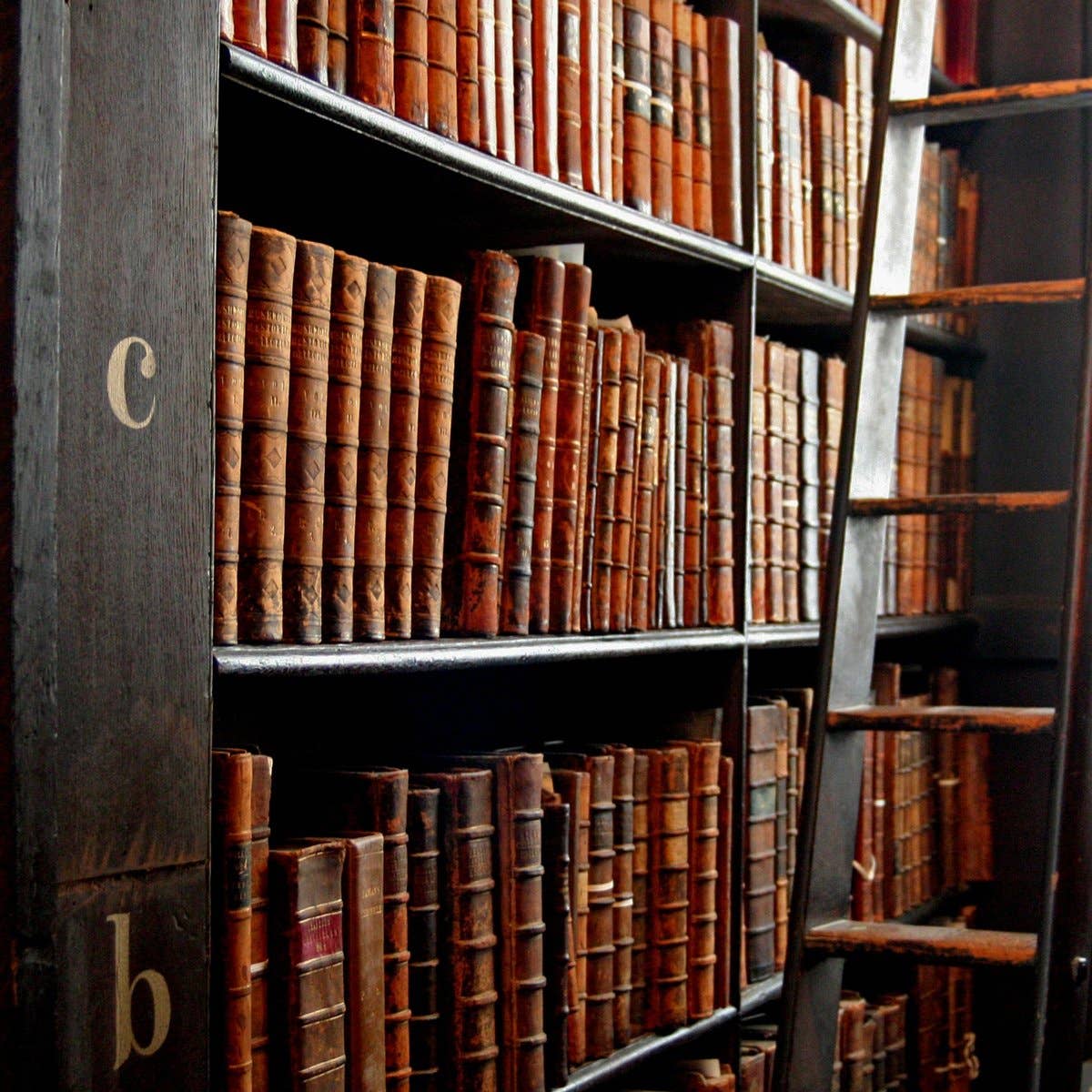 Cantrip Candles - Wholesale Jar/Filled Candle - The Library Scriptorium 16oz Candle2