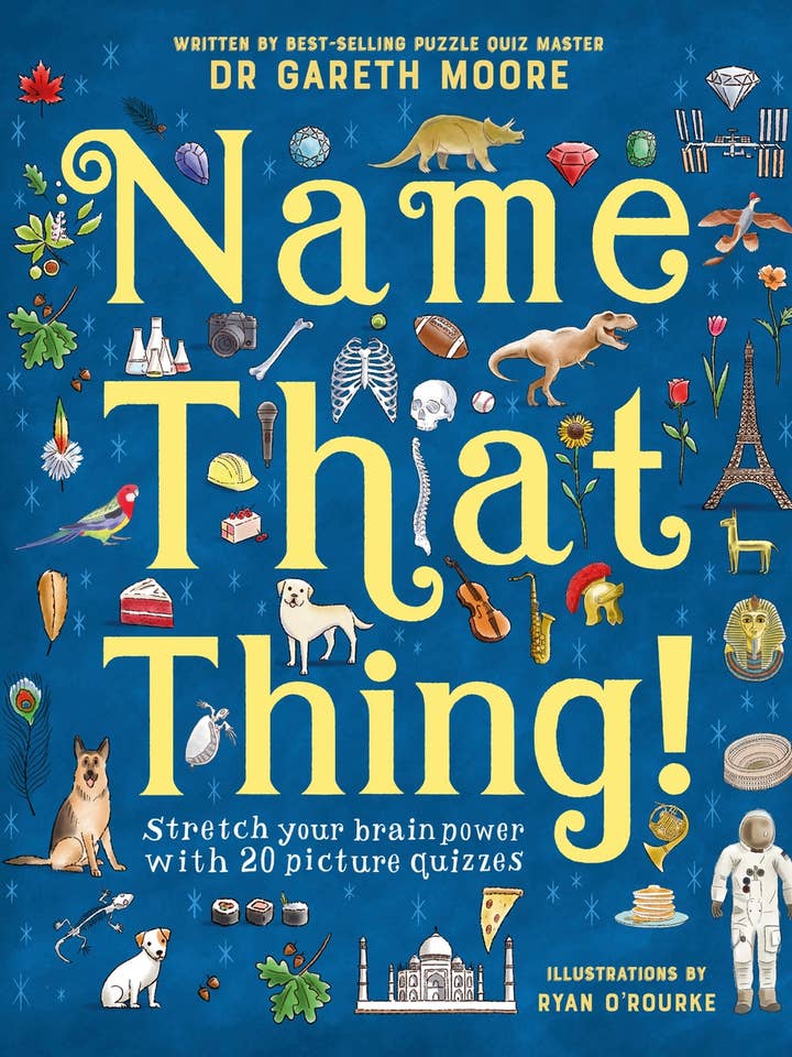 Name That Thing!: Stretch Your Brain Power with 20 Picture for wholesale by Abrams