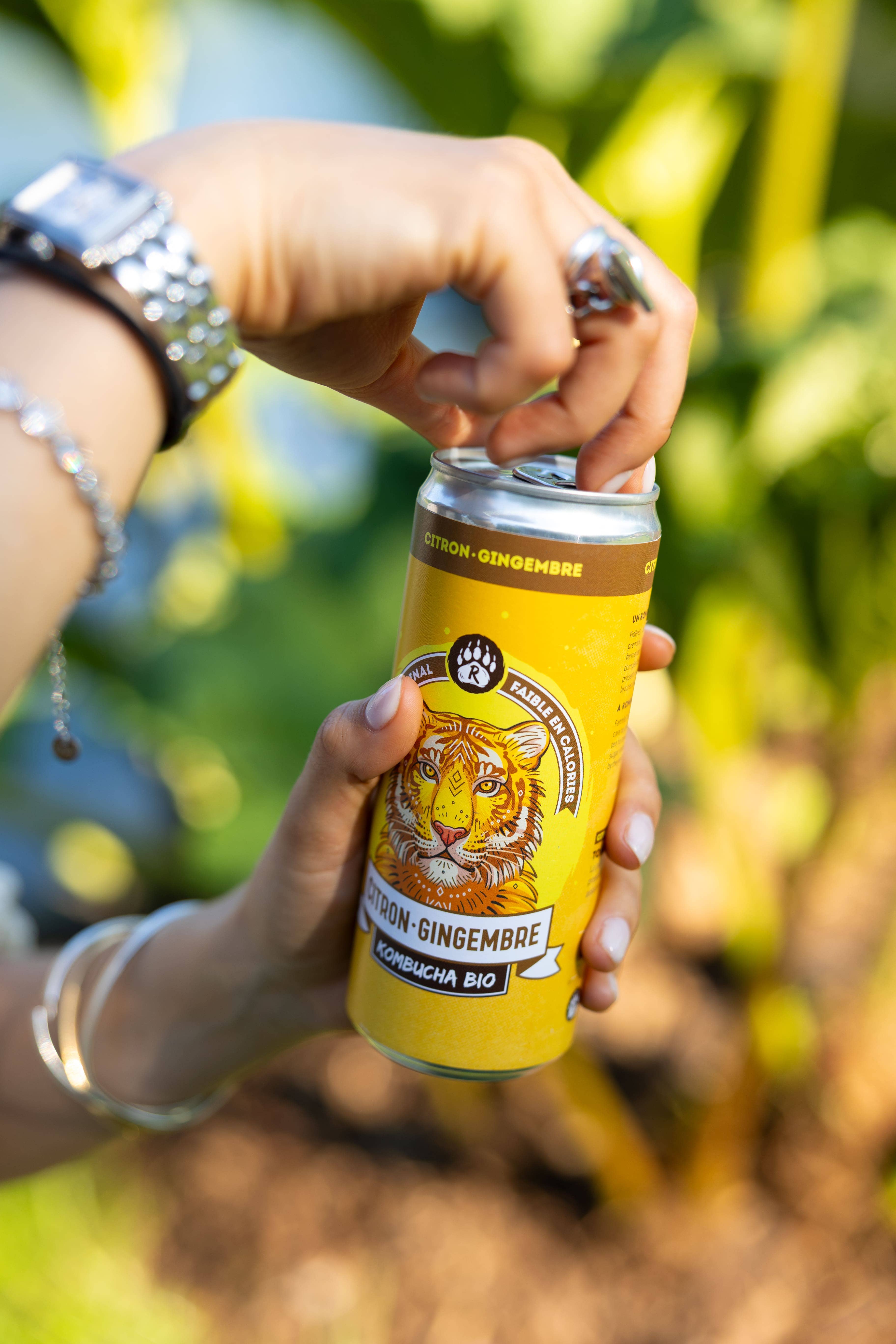 BIO BRASSEURS - Vendita all'ingrosso Kombucha - R-KOMBUCHA - Limone e zenzero - lattina 33 cl2