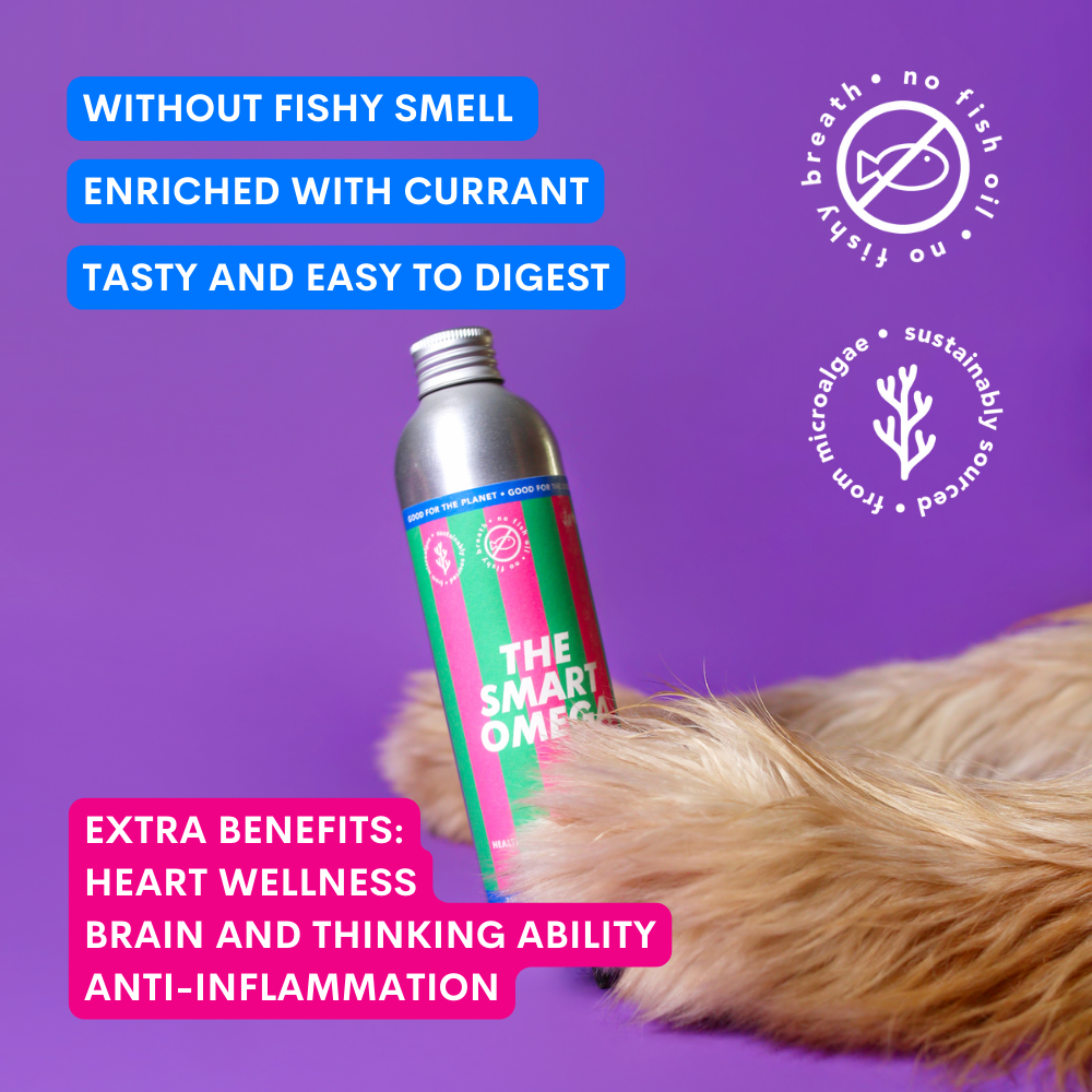 JAMPY - Wholesale Pet Supplement - Cat/Dog - The Smart Omega - Plant-based Omega3 Oil for Dogs3