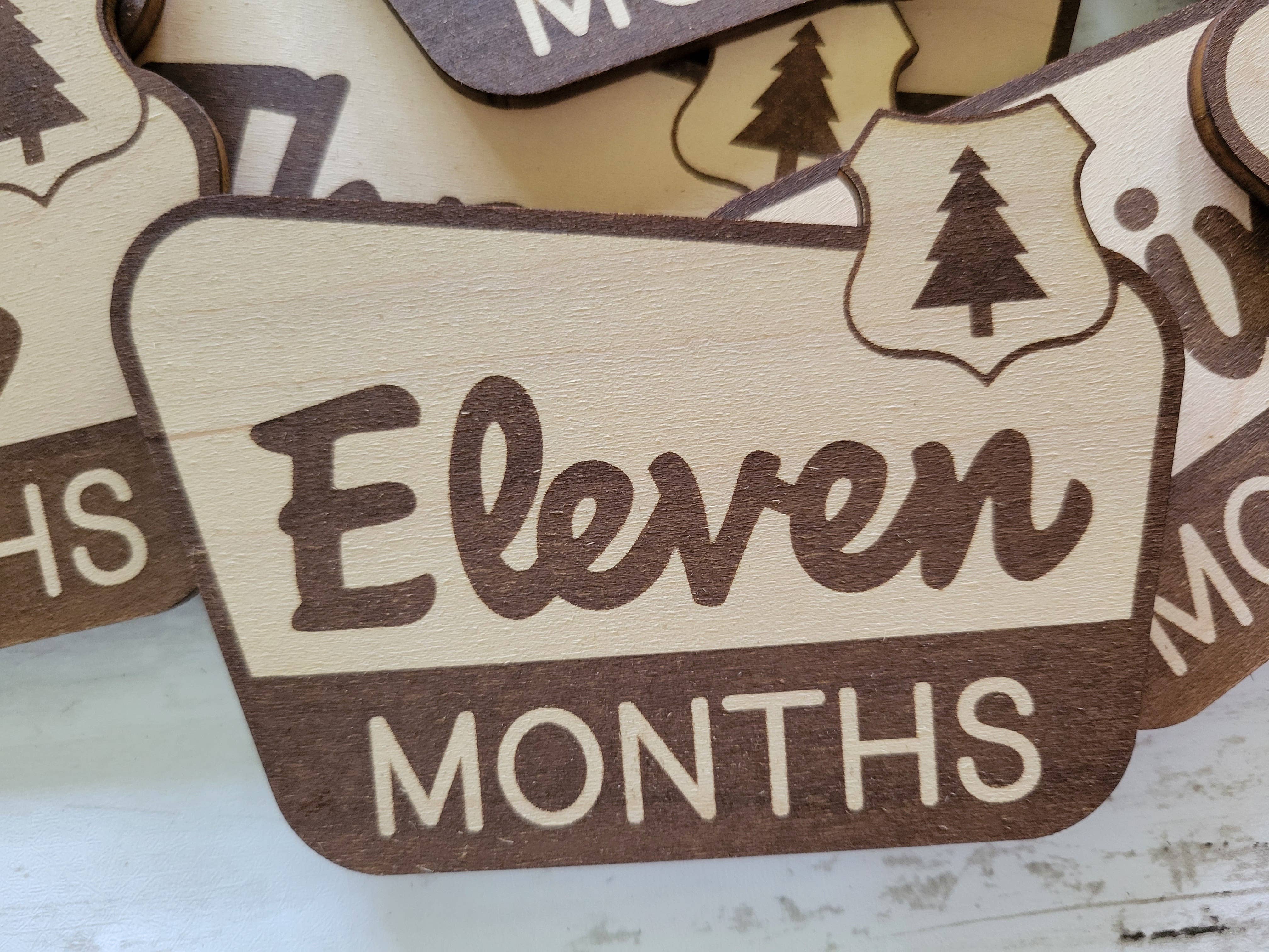 cherelle lynne - Wholesale Milestone Art/Keepsake - Kids & Baby - National Park Monthly Milestone Markers, Welcome Sign5