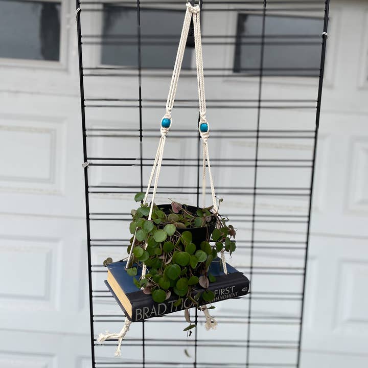 Book Planter Macrame and other Purchase Wholesale macrame garn. Free Returns & Net 60 Terms on Faire trending on Faire.