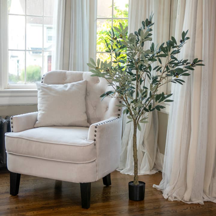 OLIVIER DE 4' DANS POT NOIR pour la vente par Ragon House