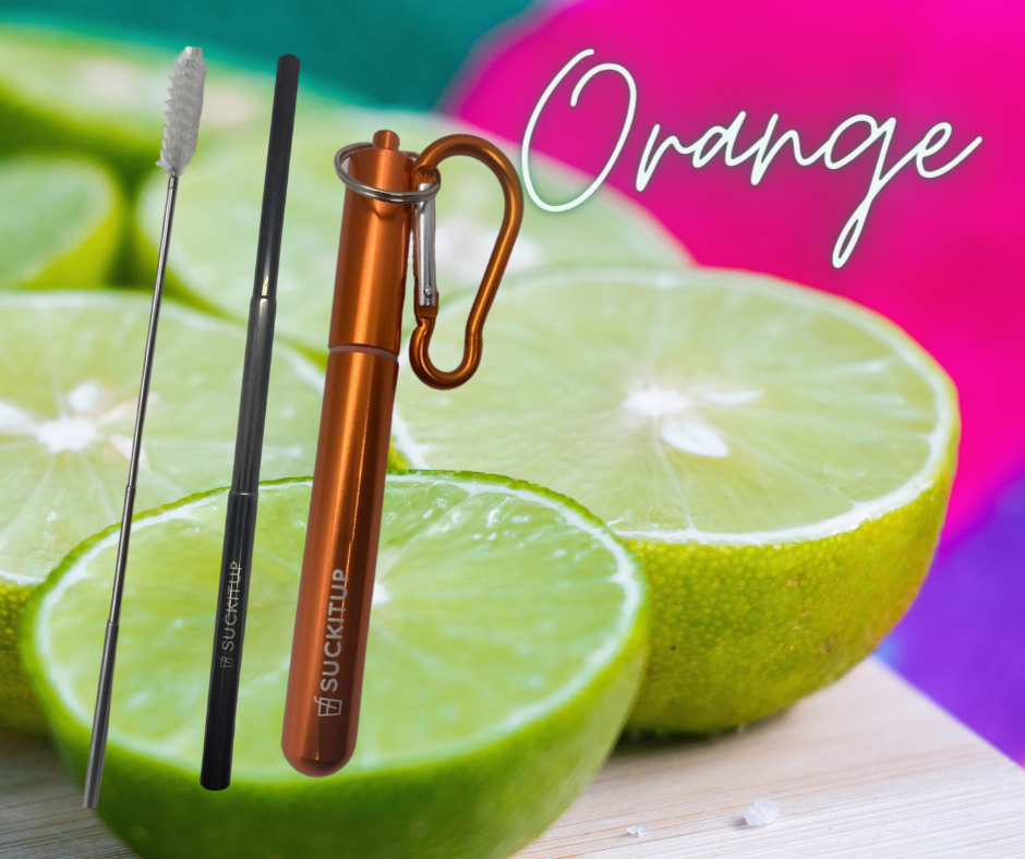 Suck It Up Straws - Vente Paille - Pailles métalliques télescopiques avec étui pour porte-clés et brosse de nettoyage54