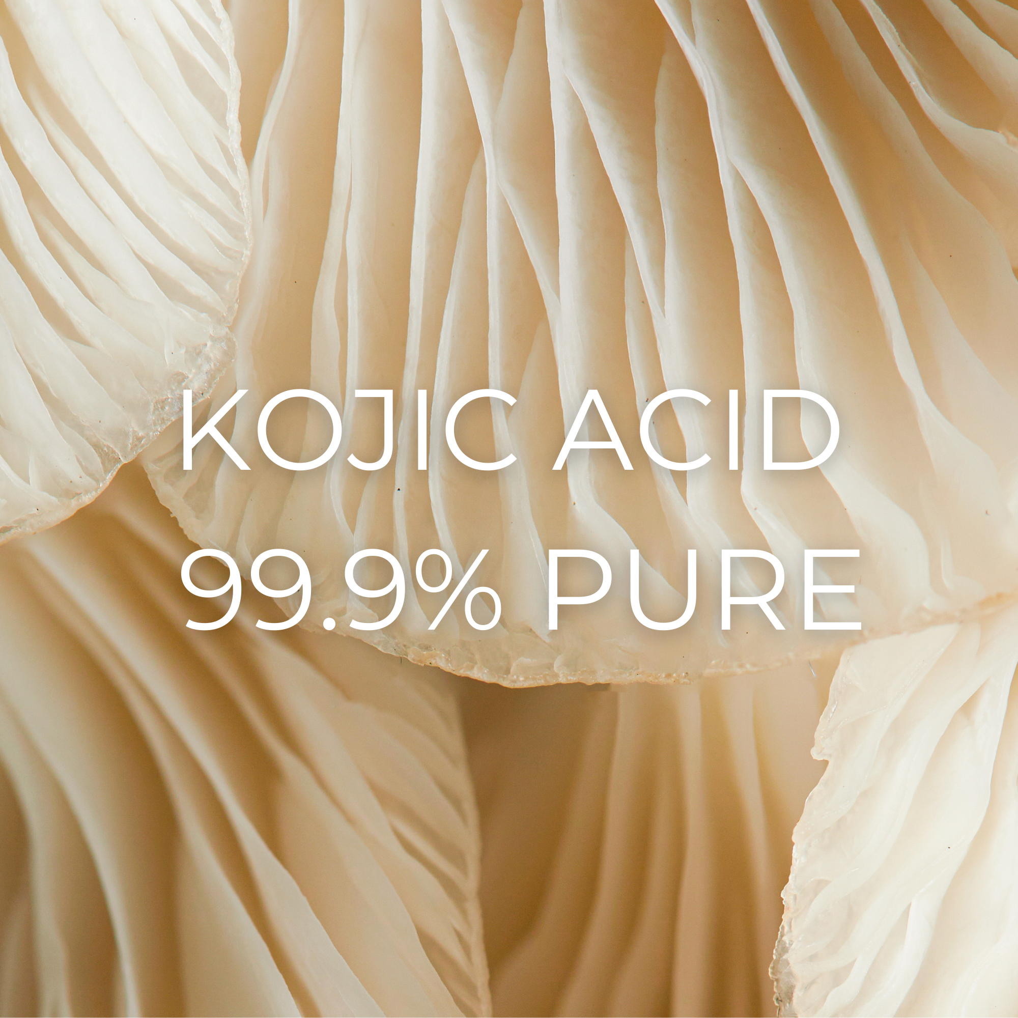 Olahoni Co - Wholesale Facial Exfoliant/Scrub - 2 Lbs Kojic Acid Powder1