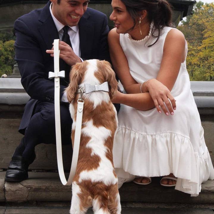 Shaya Pets – Großhandel Leine – Hund – Ben Hochzeitsleine aus weißem Leder für Hunde, handgefertigt