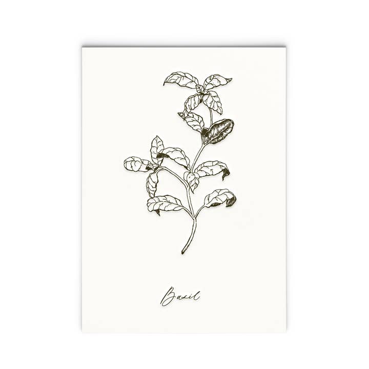Impression artistique Basil | Letterpress Herb Series pour la vente par Ciarra Claire